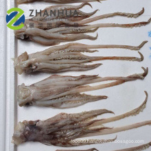 Illex squid head new loading price 60-100g